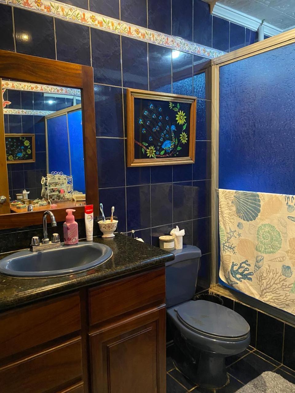 Alexander B&B Alajuela Екстериор снимка