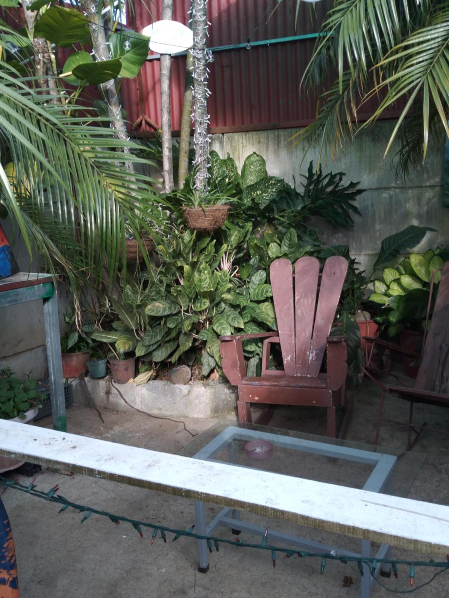 Alexander B&B Alajuela Екстериор снимка